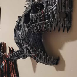 Skeleton shark wall plaque